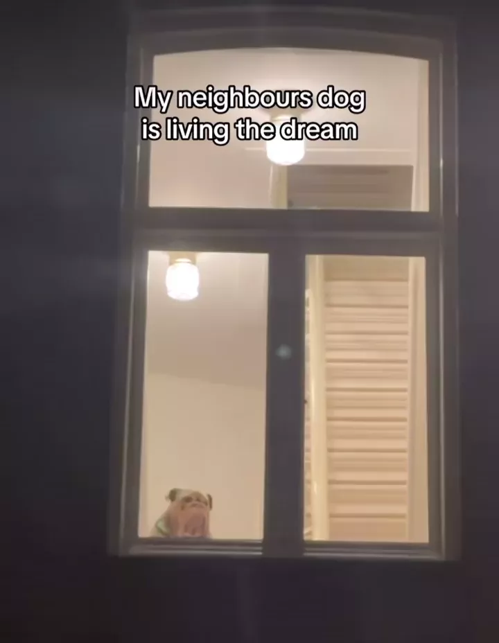 rdt