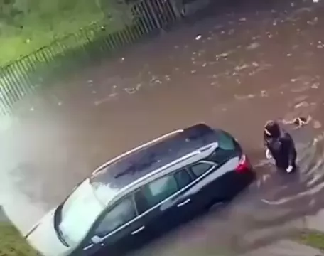 rdt