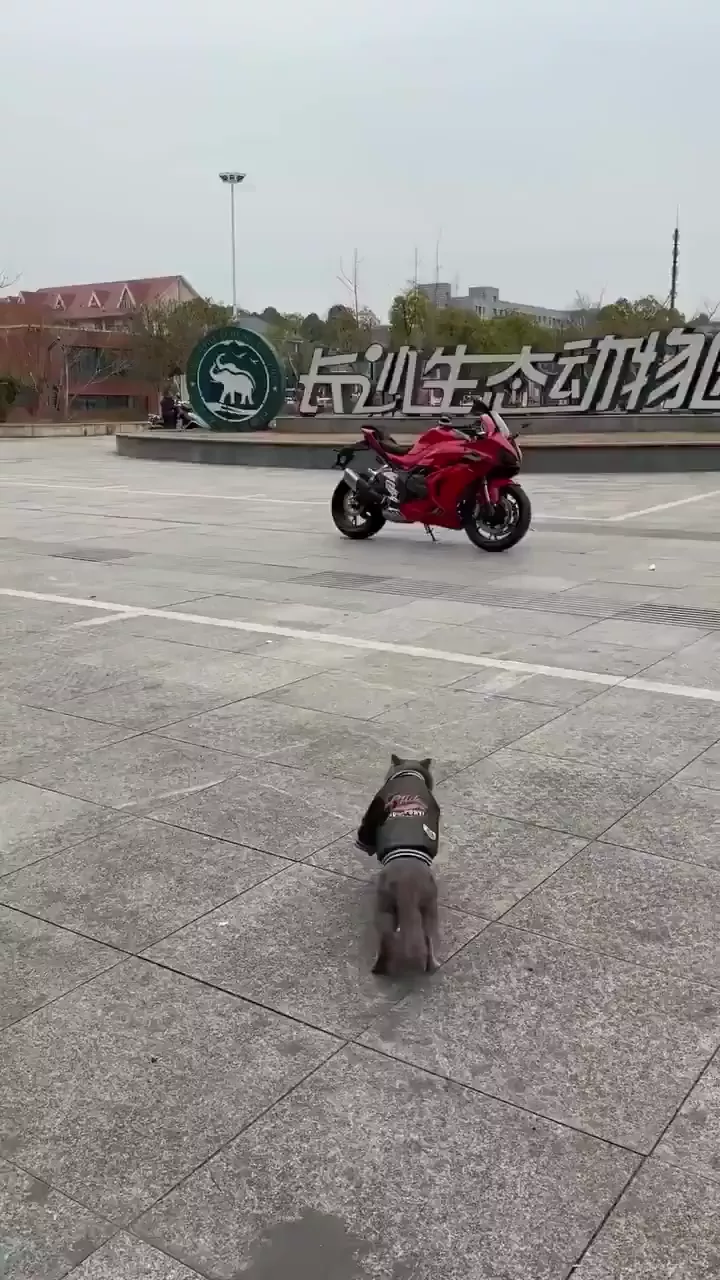 rdt