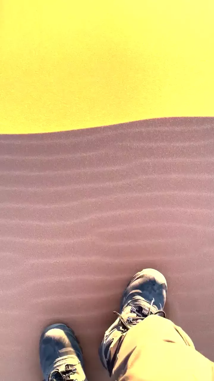 rdt