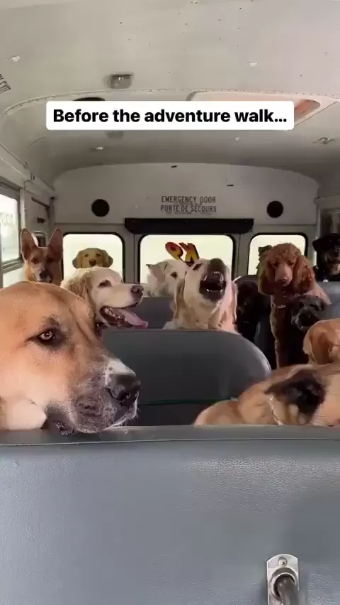 rdt