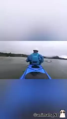 rdt
