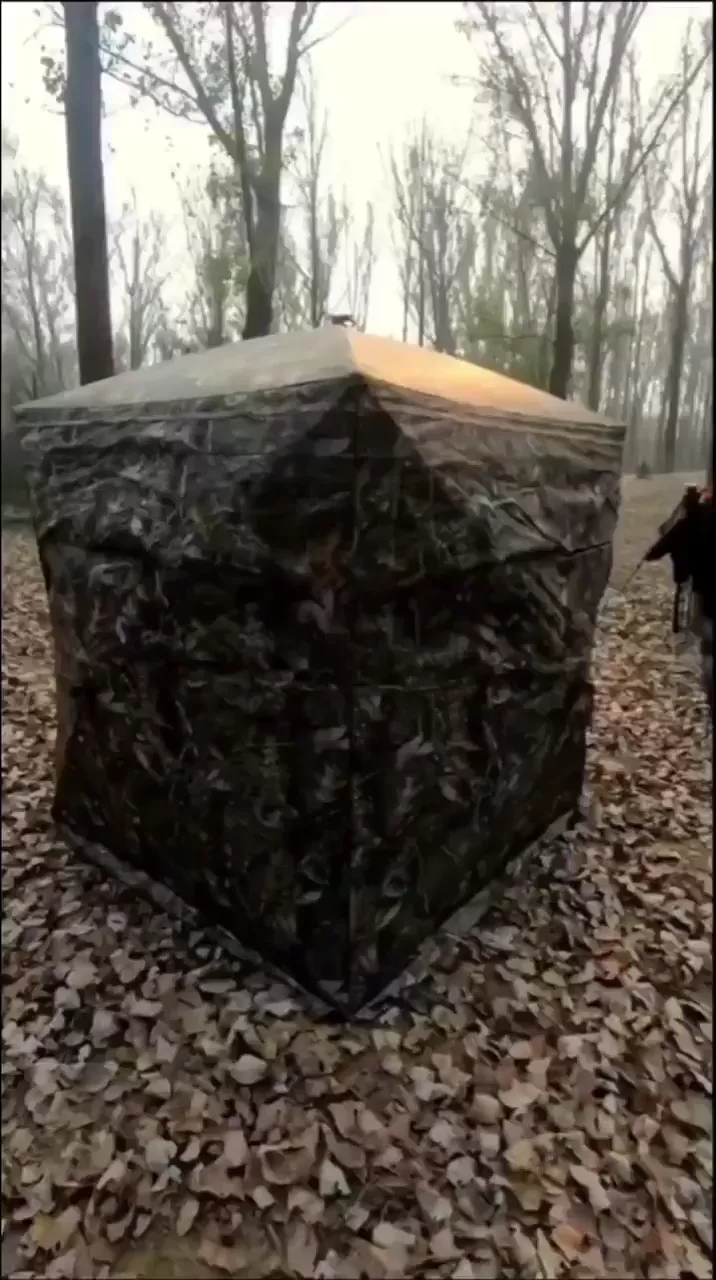 rdt