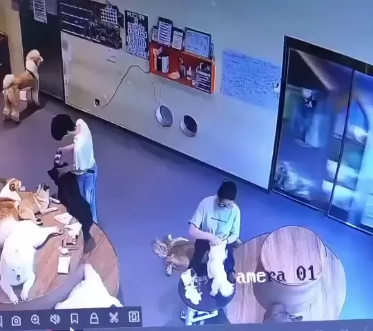 rdt