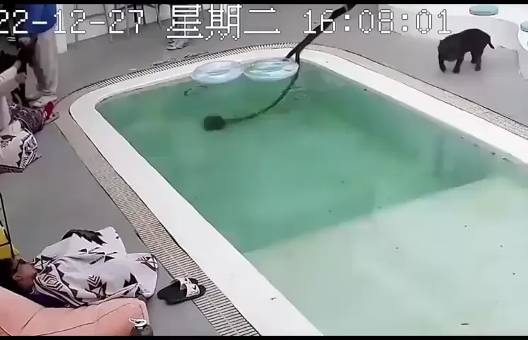 rdt