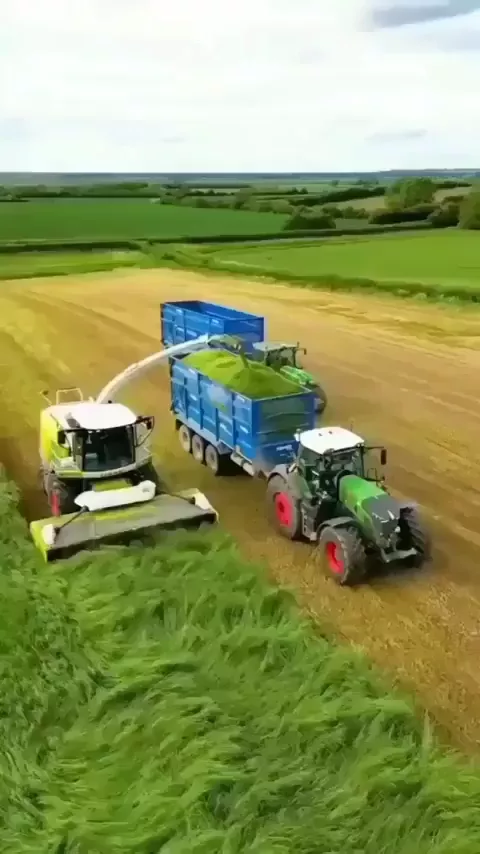 rdt