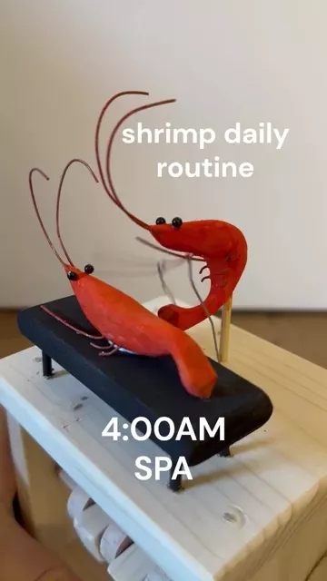 rdt