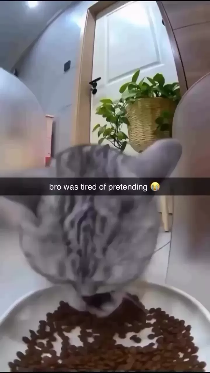 rdt