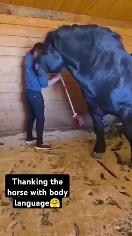 rdt