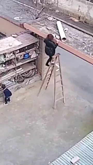 rdt