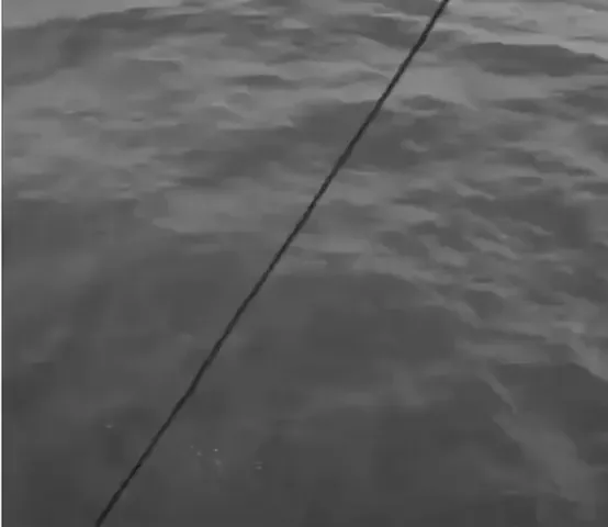 rdt