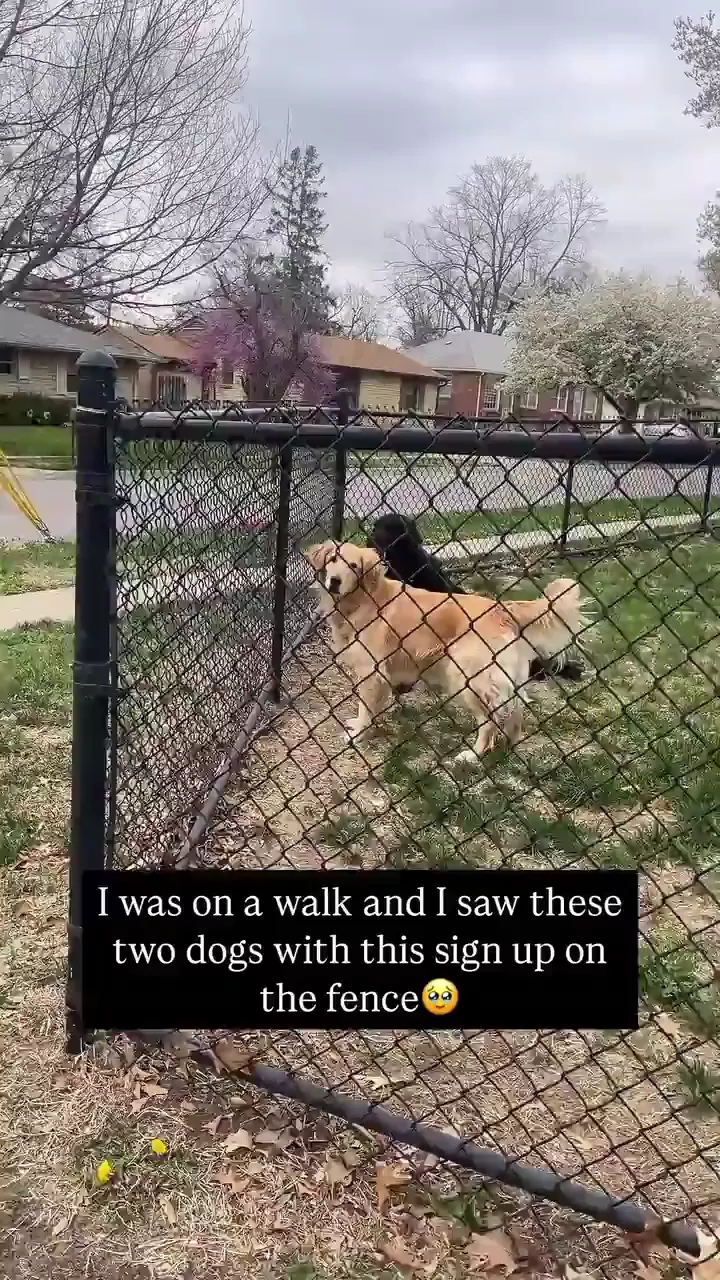 rdt