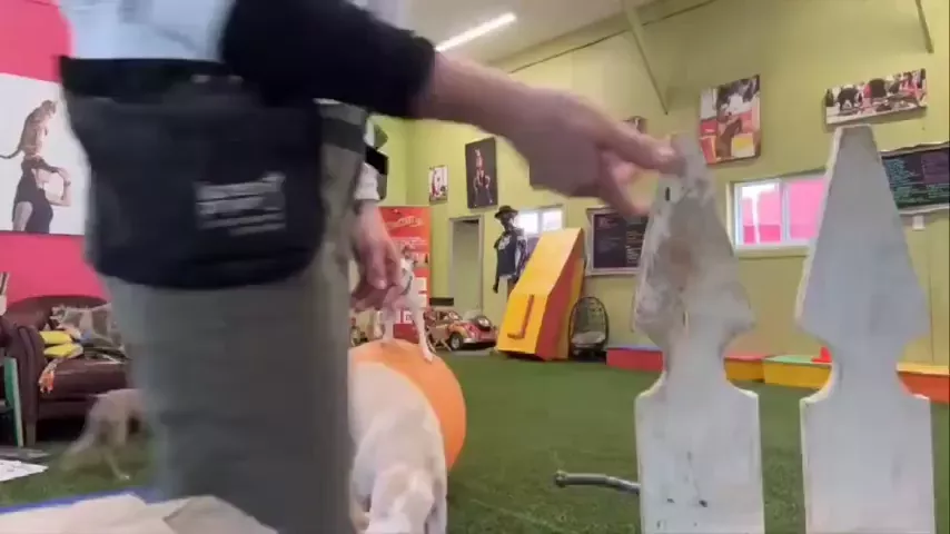 rdt