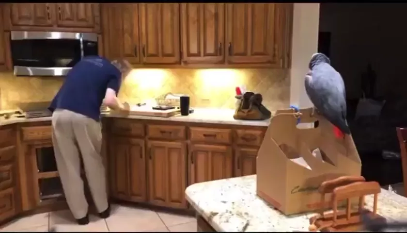 rdt