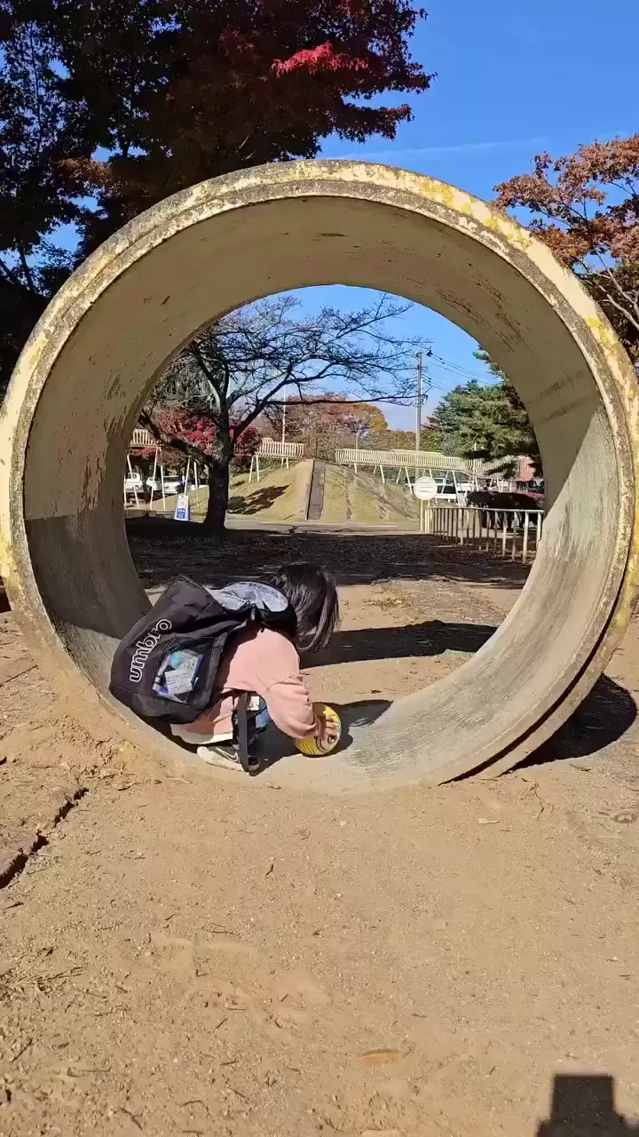 rdt