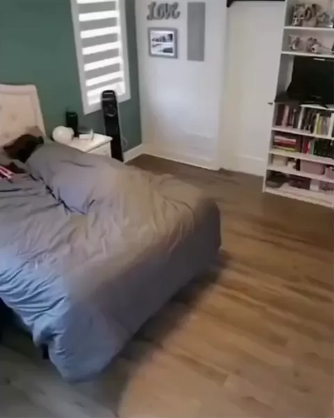 rdt