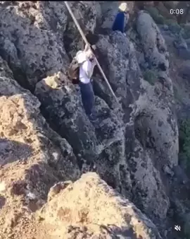 rdt