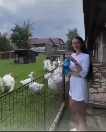 rdt