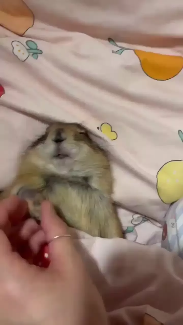 rdt