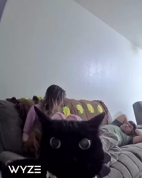 rdt