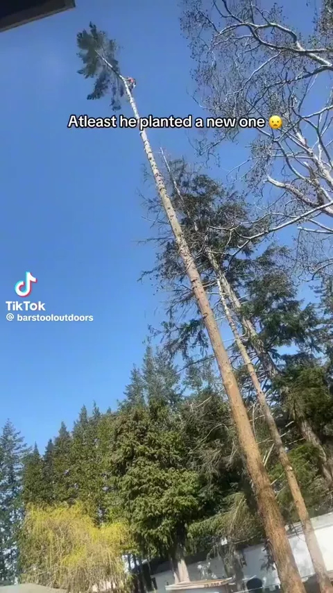 rdt