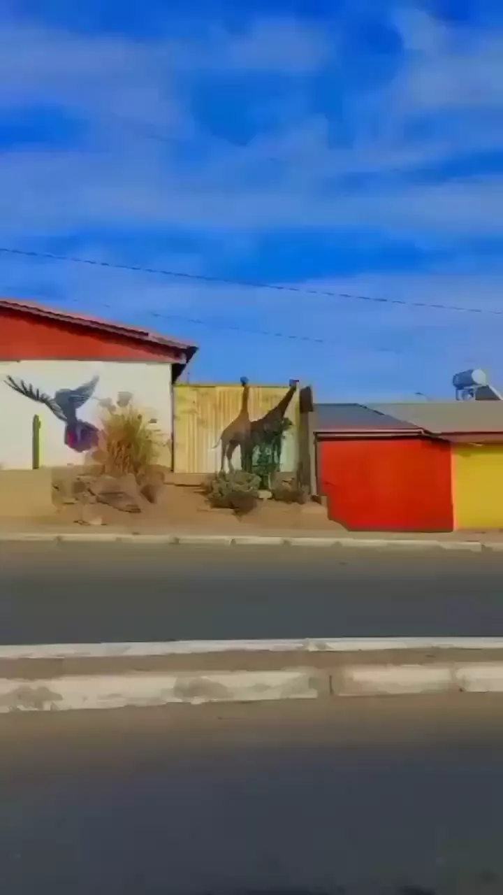 rdt
