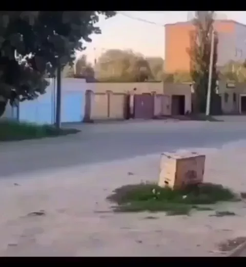 rdt