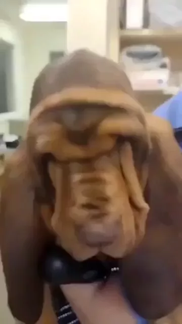 rdt