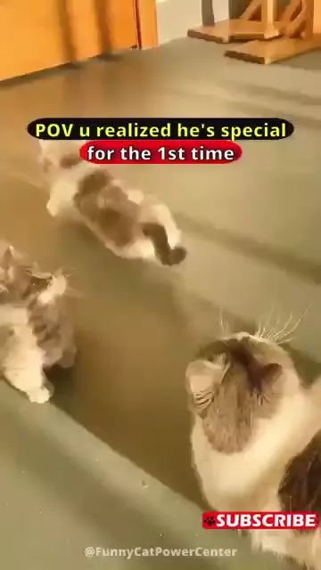 rdt