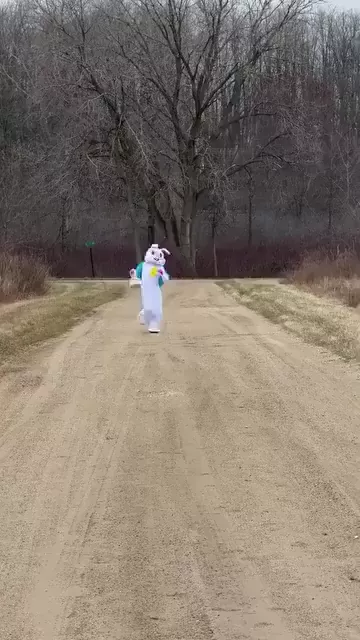 rdt