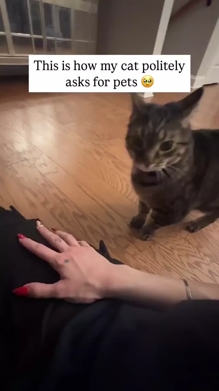 rdt