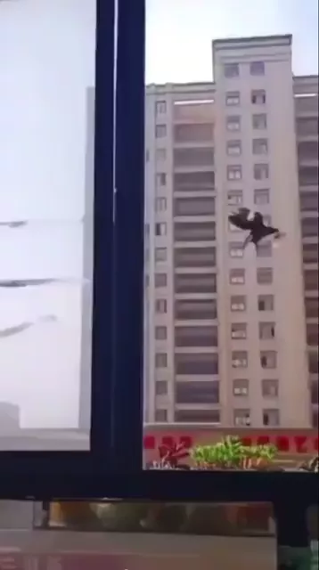 rdt