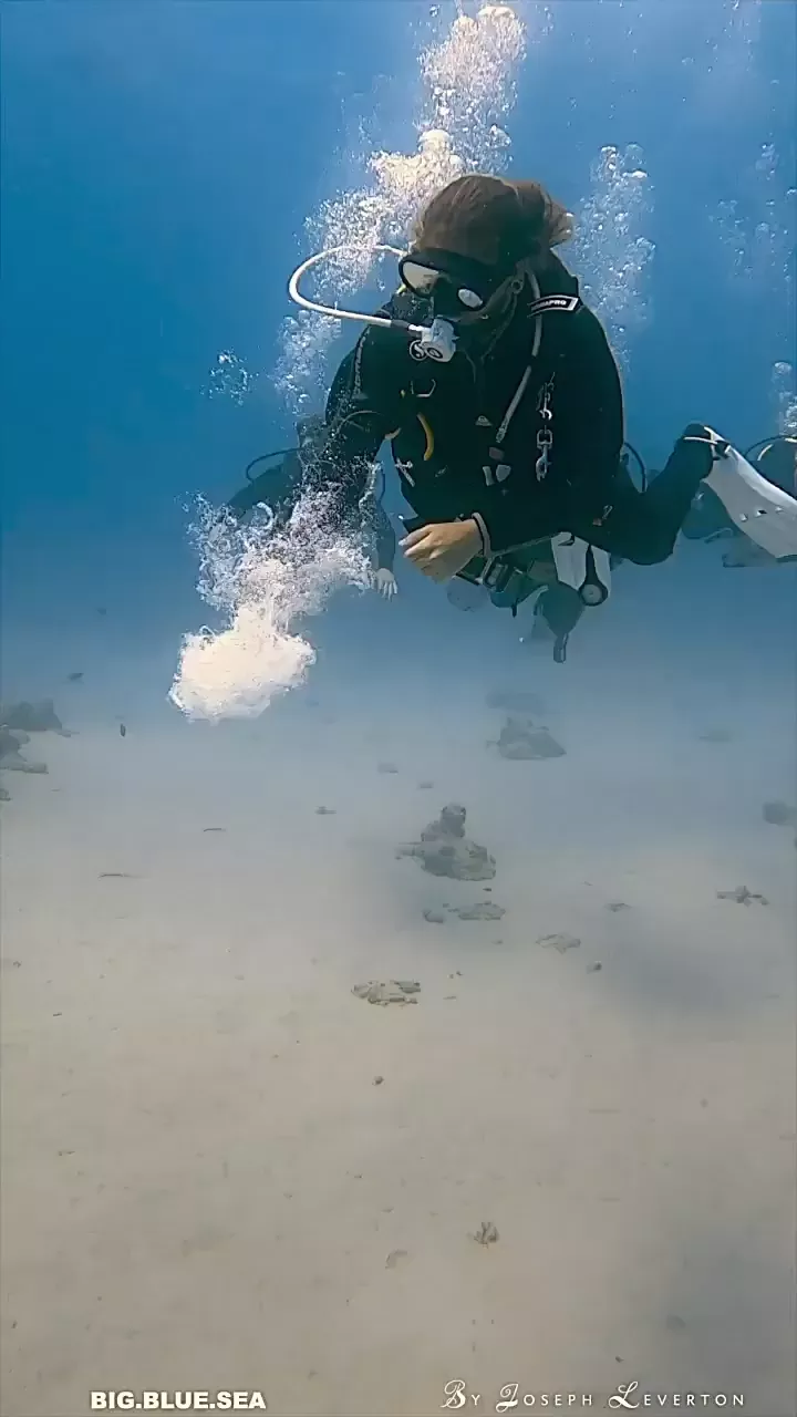 rdt