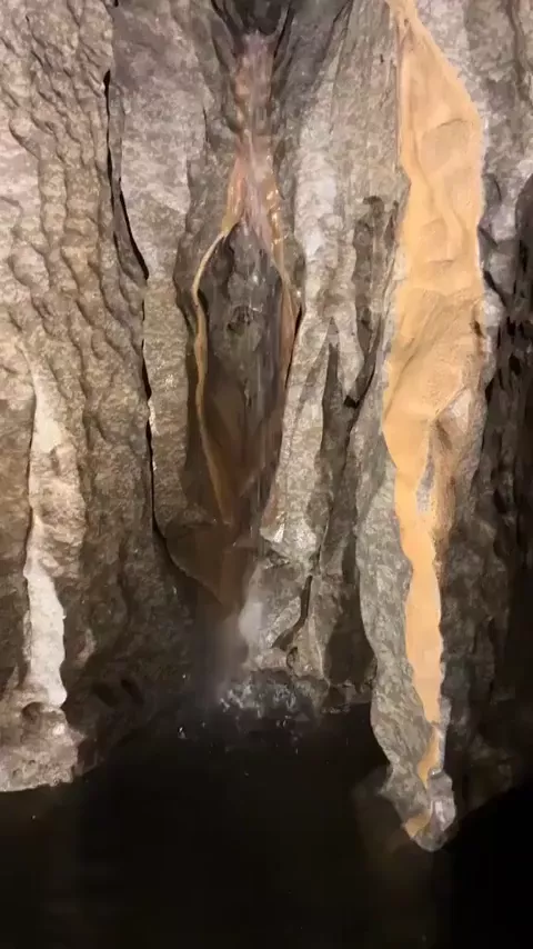 rdt
