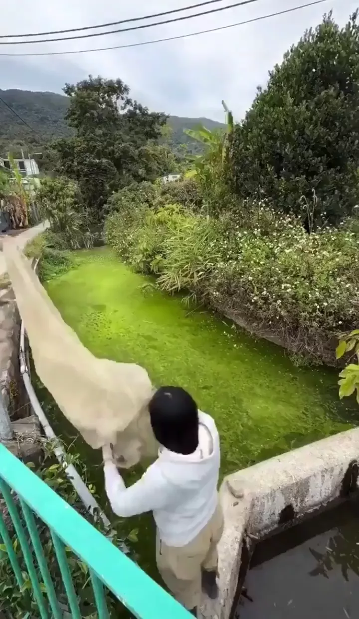 rdt
