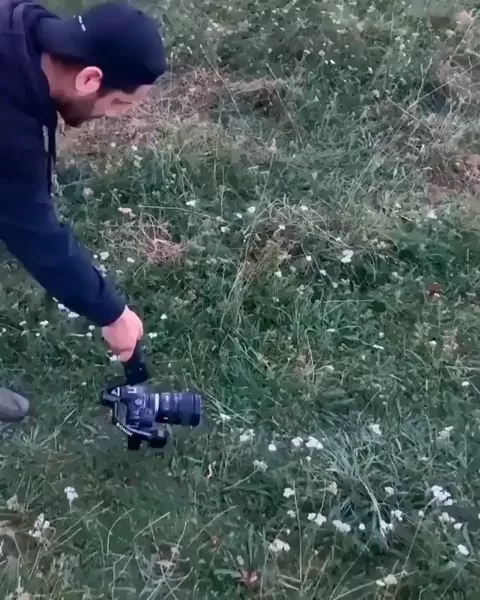rdt