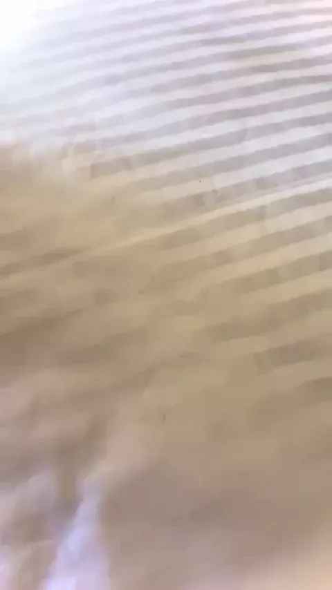 rdt