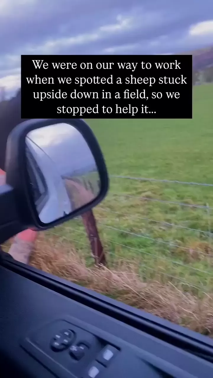 rdt