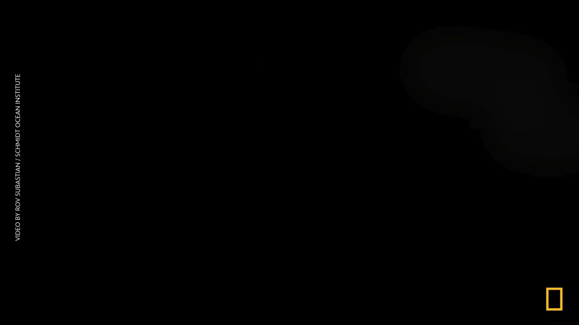 rdt