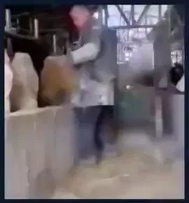 rdt