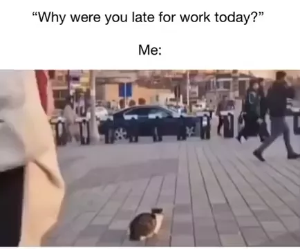 rdt