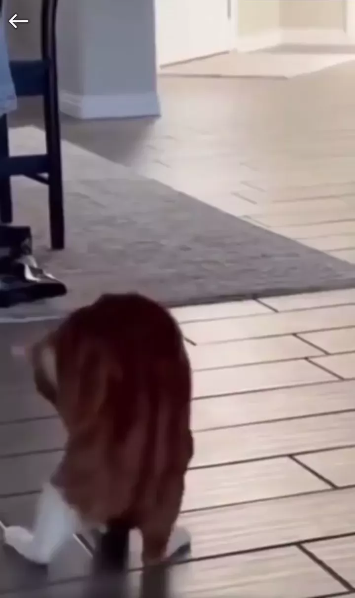 rdt