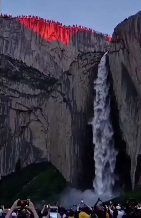 rdt