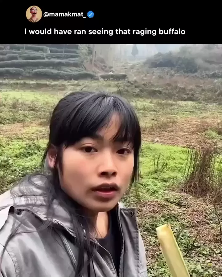 rdt