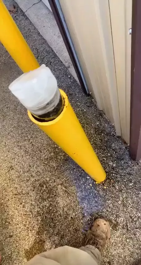 rdt