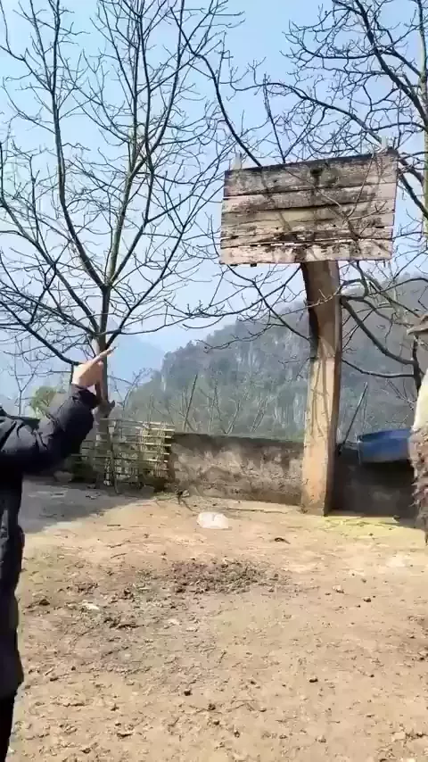 rdt