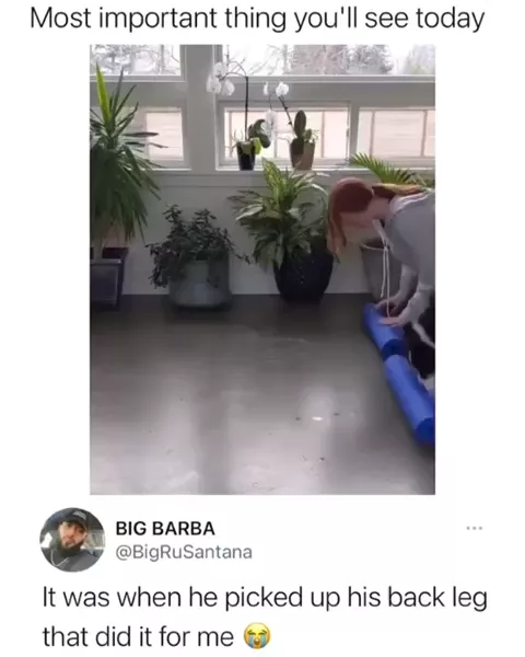 rdt