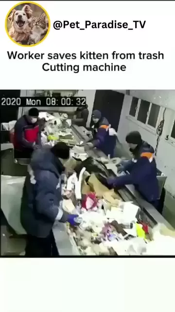 rdt