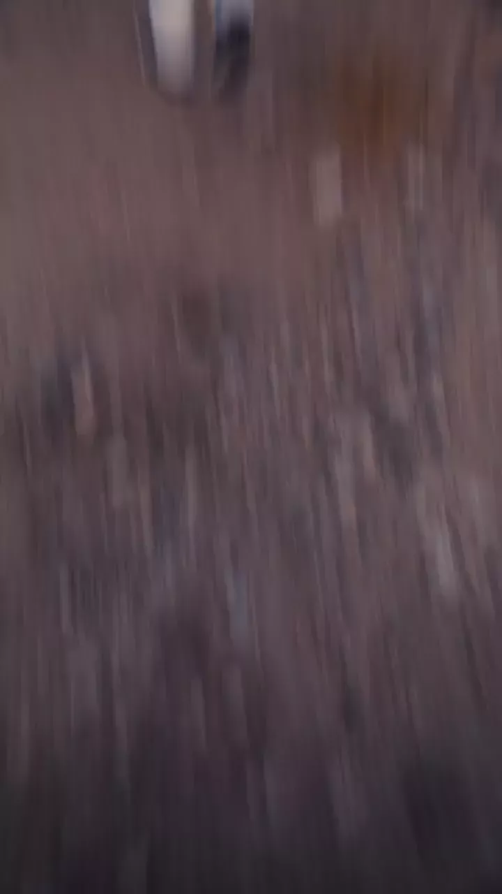 rdt