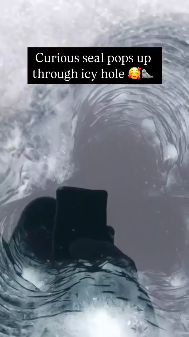 rdt